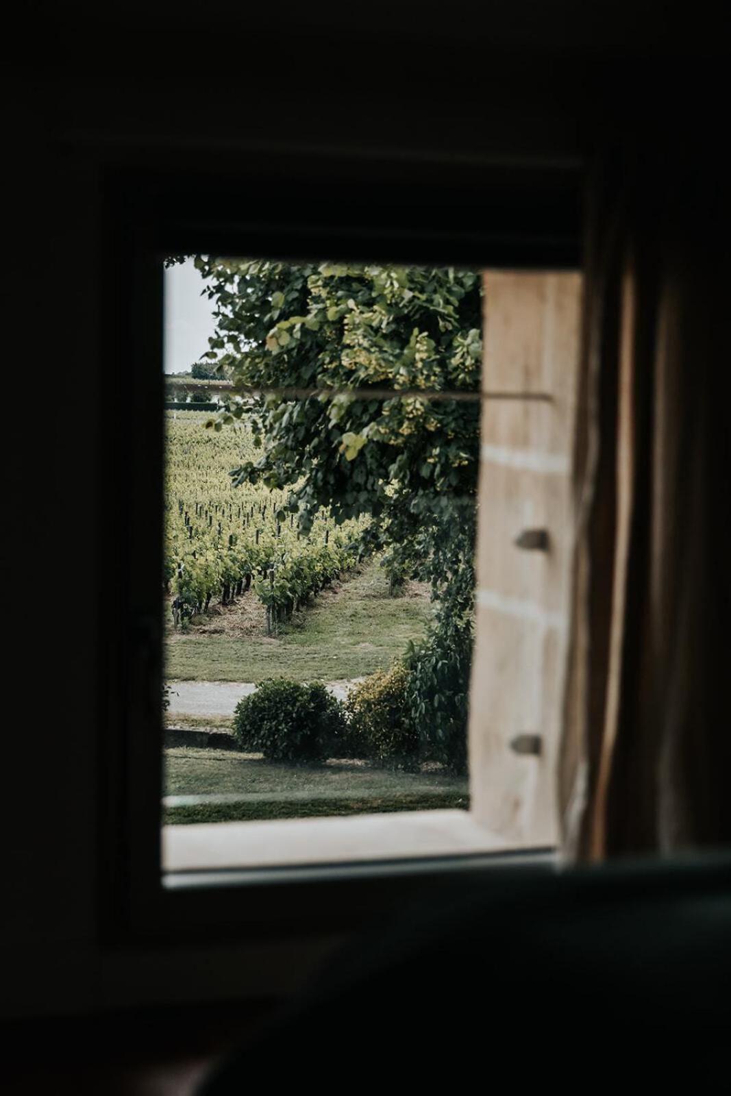 Chateau La Grande Clotte Lussac  Bilik gambar